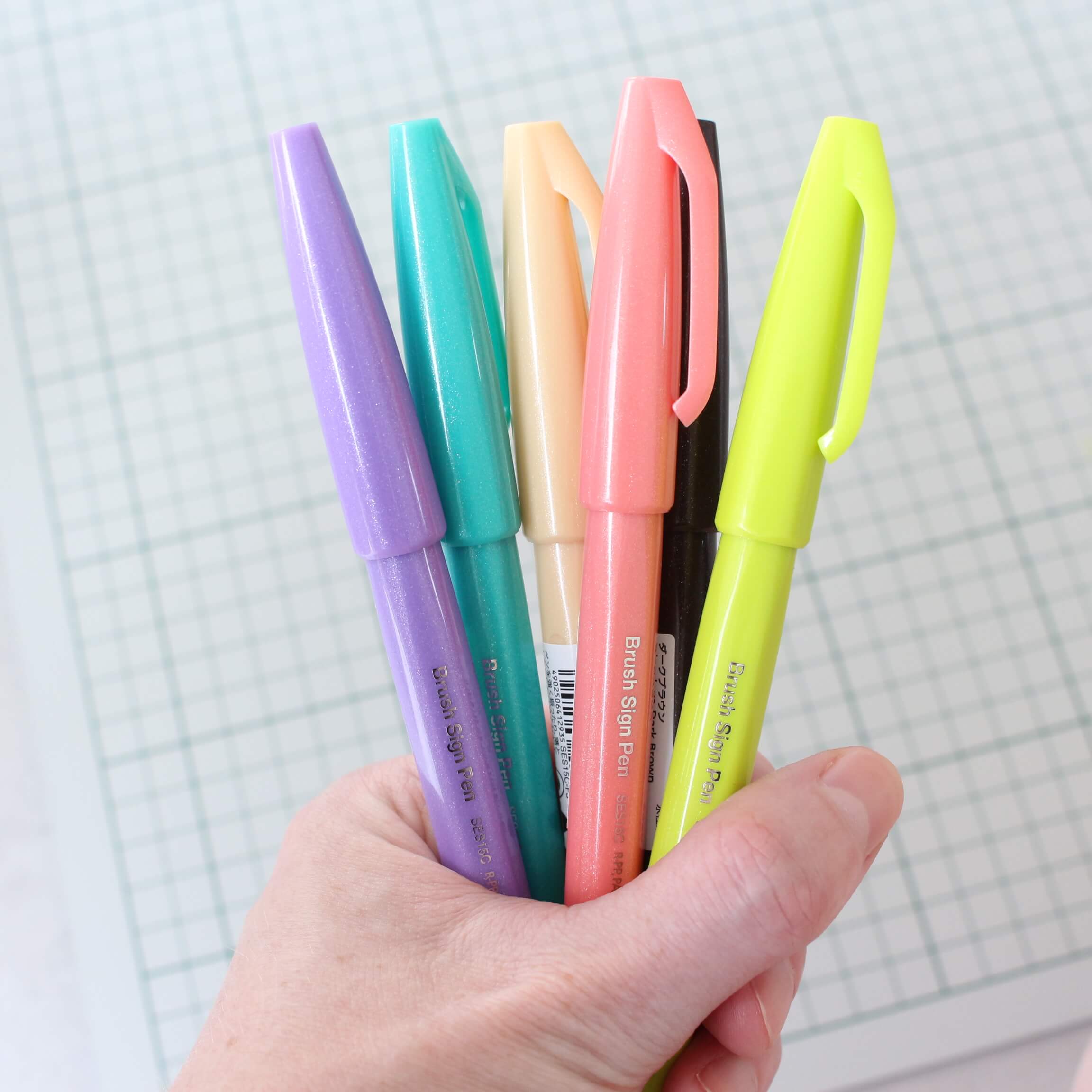 brusheny pentel sign pen
